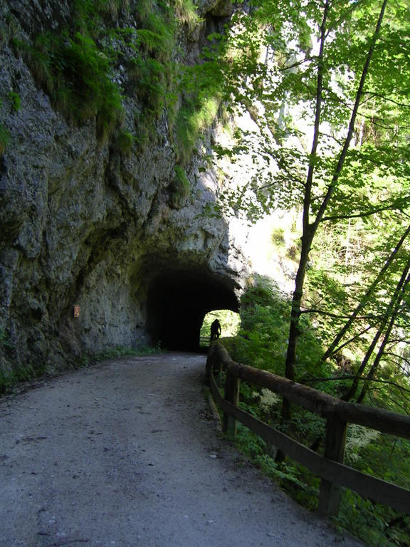 Gasthof Hensle Sankt Gallen Extérieur photo